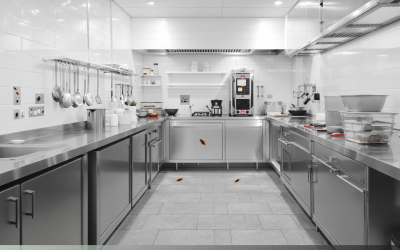 Waarom een schone keuken kakkerlakken niet altijd stopt